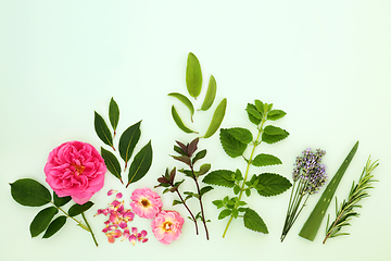 Image showing Herbs and Flowers for Natural Plant Based Herbal Remedies