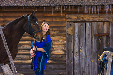 Image showing A beautiful young girl holds a horse by the bridle, against the background of a log wall