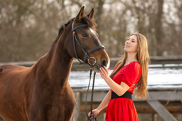 Image showing A beautiful girl in a red dress strokes a horse in the rays of the setting sun