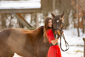 Image showing A beautiful girl in a red dress hugs a horse in the rays of the setting sun