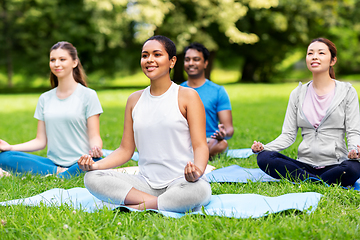 Image showing group of people doing yoga at summer park