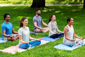 Image showing group of happy people doing yoga at summer park