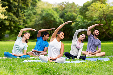 Image showing group of people exercising at summer park