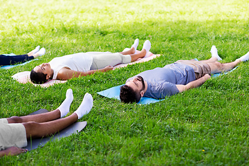 Image showing group of people doing yoga at summer park