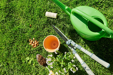 Image showing watering can, garden tools and flower at summer