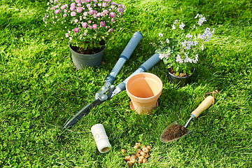 Image showing garden tools, flower pot and bulbs on grass