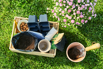 Image showing garden tools in wooden box and flowers at summer