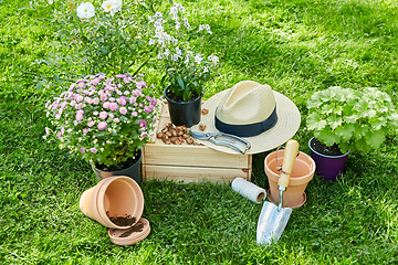 Image showing garden tools, wooden box and flowers at summer