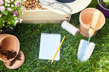 Image showing garden tools, wooden box and flowers at summer