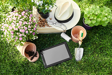 Image showing tablet pc, garden tools and flowers at summer