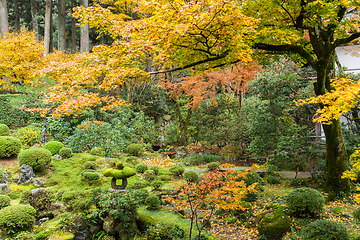 Image showing Japanese garden