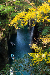 Image showing Yellow leaves in Takachiho Gorge