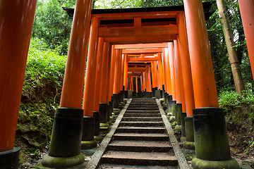 Image showing Fushimi Inari Shrine Torii temple in kyoto Japan