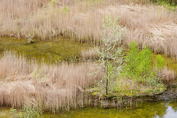 Image showing abandoned flooded quarry, Czech republic