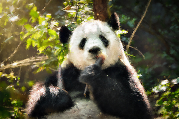 Image showing Oil painting of giant panda bear in China