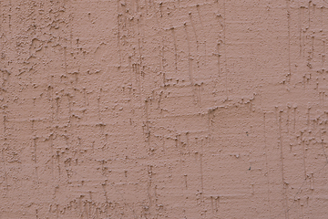 Image showing Decorative stucco vertical bark beetle