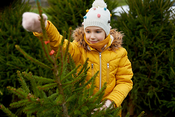 Image showing little girl choosing christmas tree at market