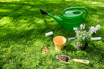 Image showing watering can, garden tools and flower at summer