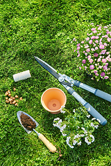 Image showing garden tools, flower pot and bulbs on grass