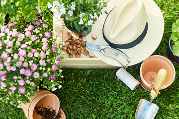 Image showing garden tools, wooden box and flowers at summer