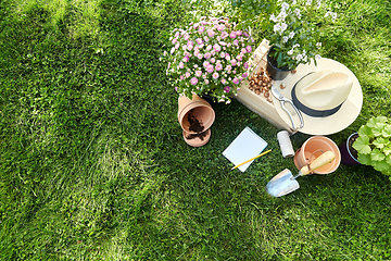 Image showing garden tools, wooden box and flowers at summer