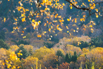 Image showing Beautiful landscape in Autumn 