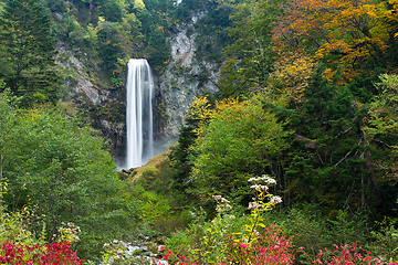 Image showing Water fall in Japan