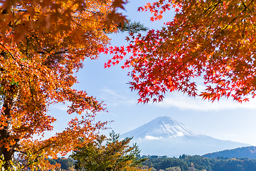 Image showing Mt Fuji in autumn view from lake Kawaguchiko