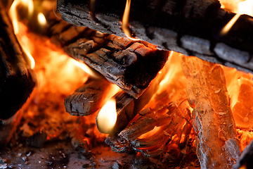 Image showing firewood burning in fire