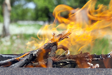 Image showing Burning bonfire