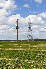 Image showing Electric concrete pole