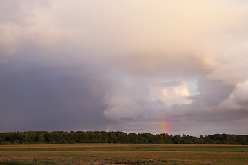Image showing rainbow over forest