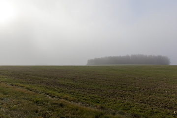 Image showing autumn landscape