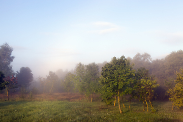 Image showing landscape with misty