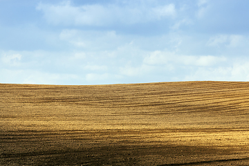 Image showing plowed soil