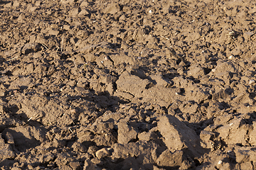 Image showing Closeup shot of Soil texture