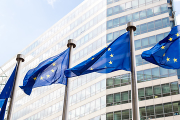 Image showing European flags  in Brussels