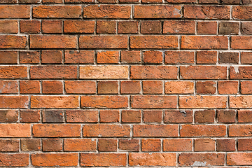 Image showing Brick texture in red