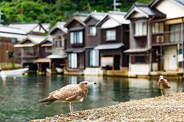 Image showing Seaside town in Ine-cho of Kyoto city of Japan