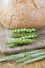 Image showing green wheat and rye