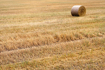 Image showing one stack of straw