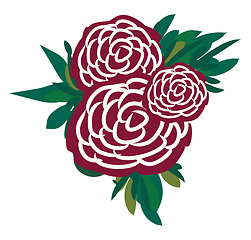 Image showing A bunch of roses vector or color illustration