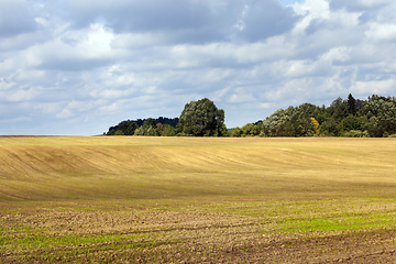 Image showing agricultural field