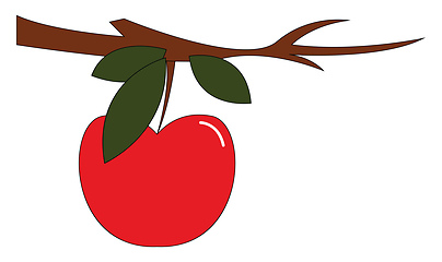 Image showing Clipart of an apple fruit hanging from the branch of a tree vect