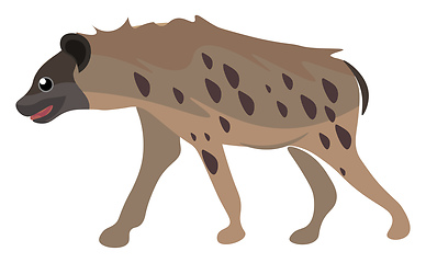 Image showing A portrait of a hyena set on isolated white background viewed fr