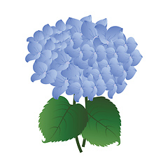 Image showing Vector illustration  blue hydrangea flower with green leafs on w