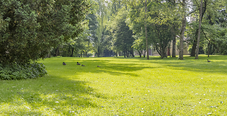 Image showing idyllic park scenery