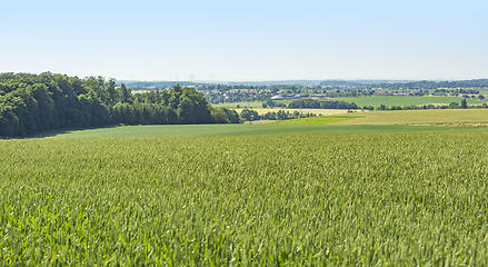 Image showing rural scenery in Hohenlohe
