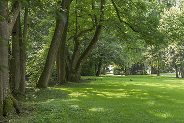 Image showing idyllic park scenery