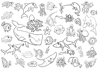 Image showing sea life animals coloring page